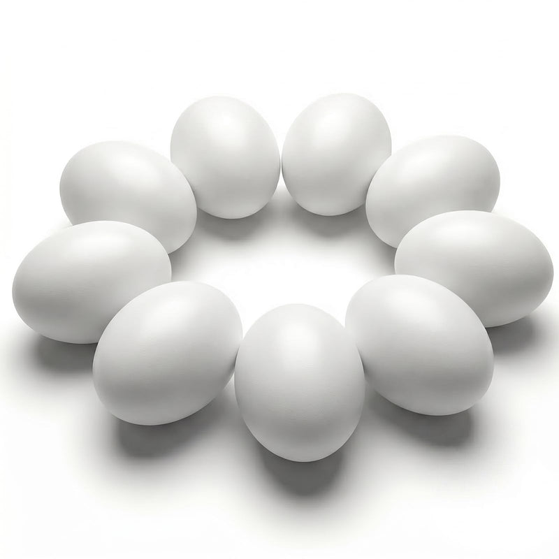 SallyFashion Wooden Fake Eggs, 9 PCS White Easter Eggs 9 White