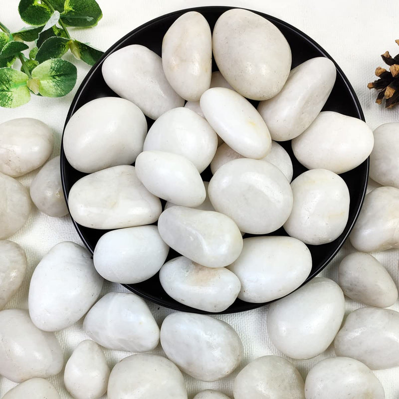 YISZM 5lbs White River Rocks, 1-2 Inch Natural Pebbles for Indoor Plants, High Polished Decorative Stones Vase Filler Fish Tank Aquariums