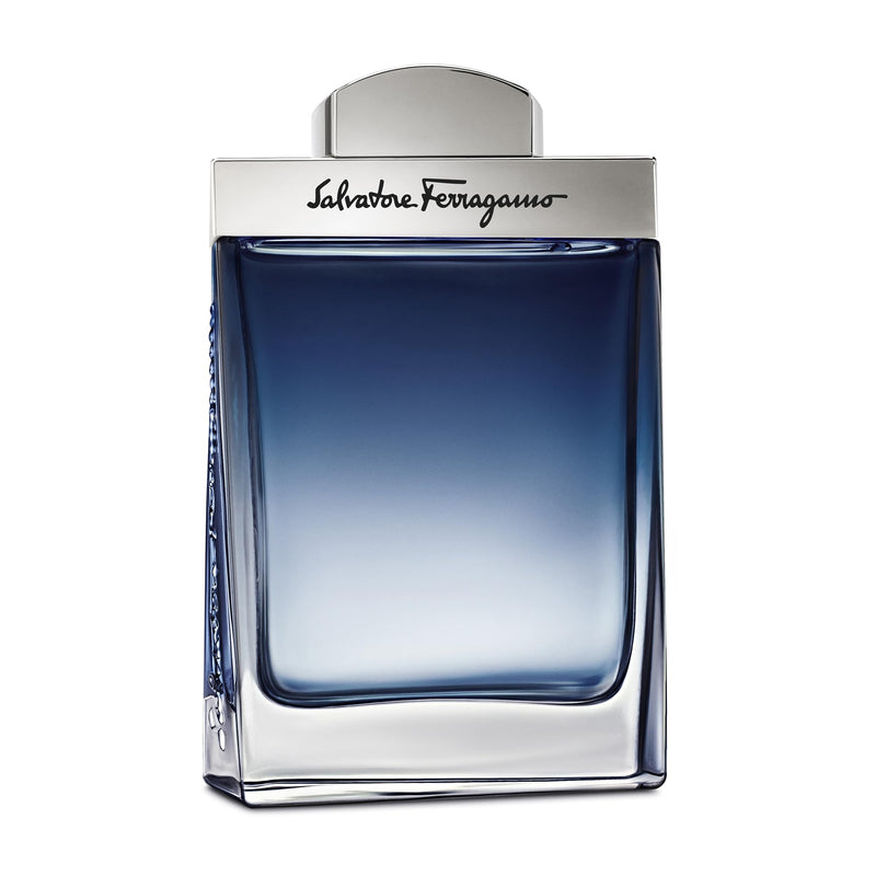 Salvatore Ferragamo Subtil Eau De Toilette Spray for Men, 3.4 Ounce