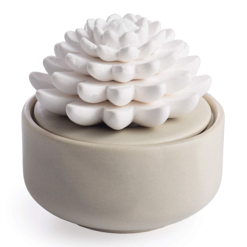 Airomé White Succulent, Porcelain Passive Essential Oil Diffuser (With 15Ml Peppermint Essential Oil) â Non-Electric, Battery-Free, Improves