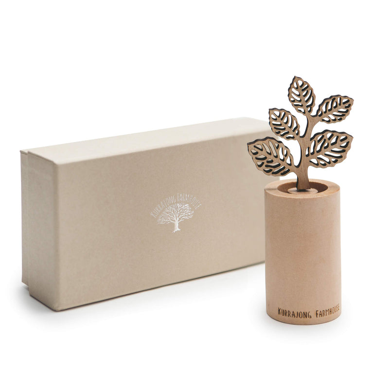 Kurrajong Farmhouse Essential Oil Diffuser | Flower Diffuser | Wooden Reed Diffuser Stick | 6" Small Reed Diffuser | Aromatherapy Oil Diffuser