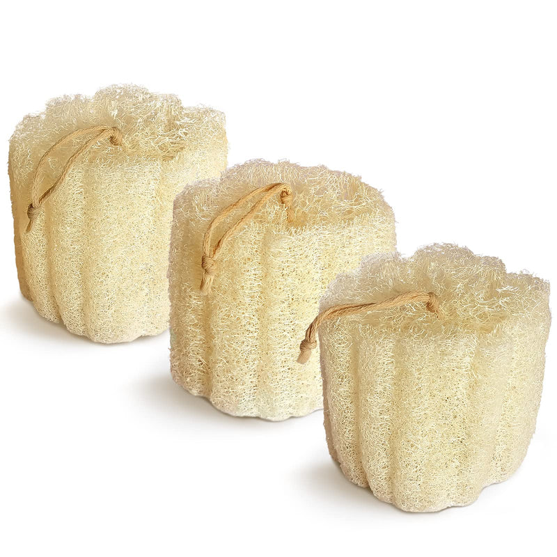 Natural Shower Loofah Sponge, Bath Exfoliating Loofa Body Scrubber, 5.5 “Soft and Easy Foaming Spa Lufa Sponges (3 Pack) 3 Count (Pack of 1)