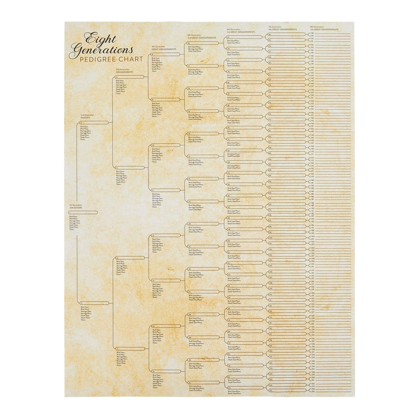 Okuna Outpost Family Tree Charts to Fill in - 8 Generation Genealogy Charts with 255 Name Spaces - Blank Family Tree Posters on Poster Paper for