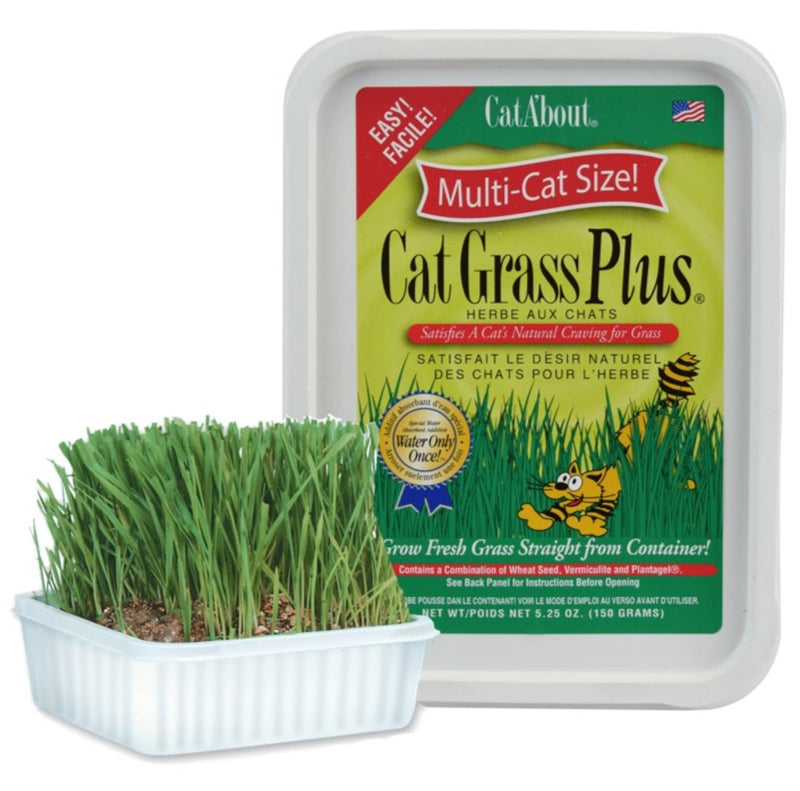 Miracle Care Cat A'bout Cat Grass Kit, 5.25 Ounce | Easy to Grow Seeds + Planter for Indoor Cats, Natural Fiber Aids Digestion, Reduces Hairballs,
