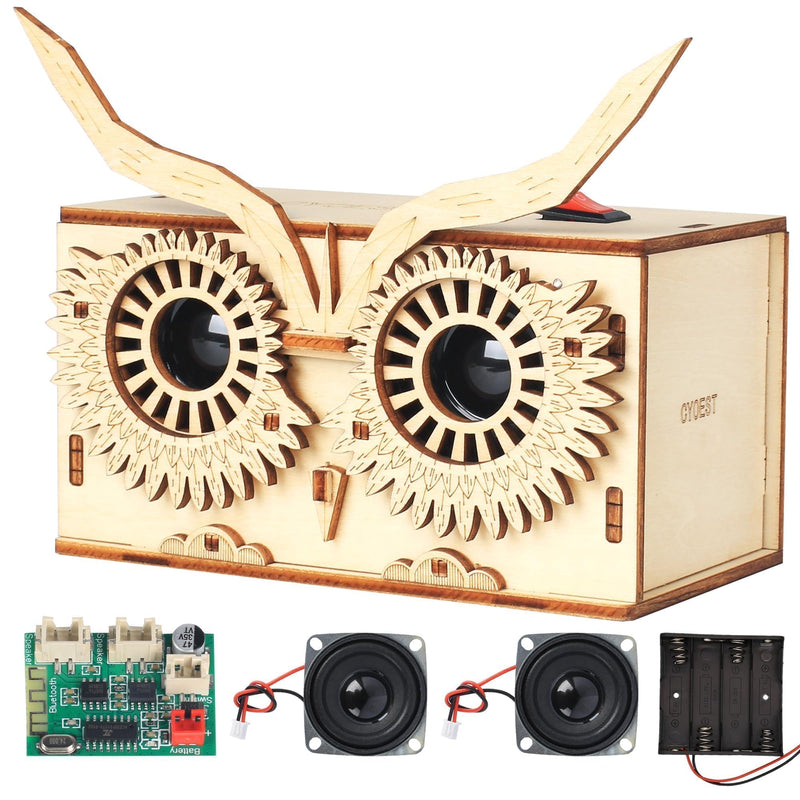 DIY Bluetooth Speaker Kit, Stem Projects for Kids Ages 8-12, Science Kits for Kids Age 12-14, STEM Learning Project, Science Gift for Boys Teens