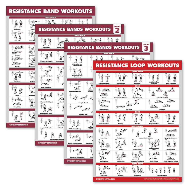 Palace Learning 4 Pack - Resistance Bands Workout Exercise Posters Volume 1, 2 & 3 + Resistance Loops Fitness Chart (LAMINATED, 18" x 24") 18" x