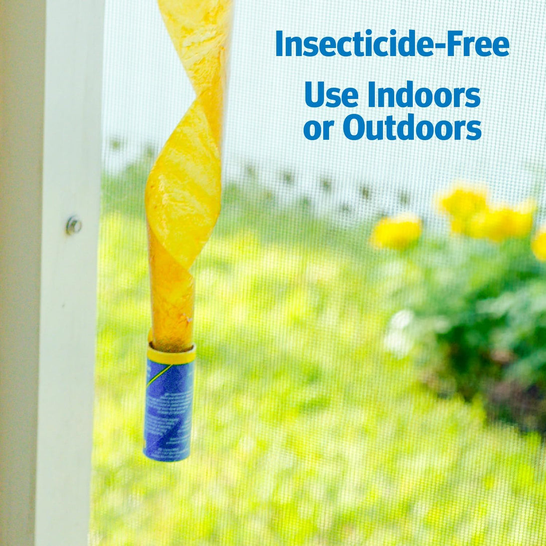 Raid Fly Ribbon Bug & Insect Catcher (4 Pack)