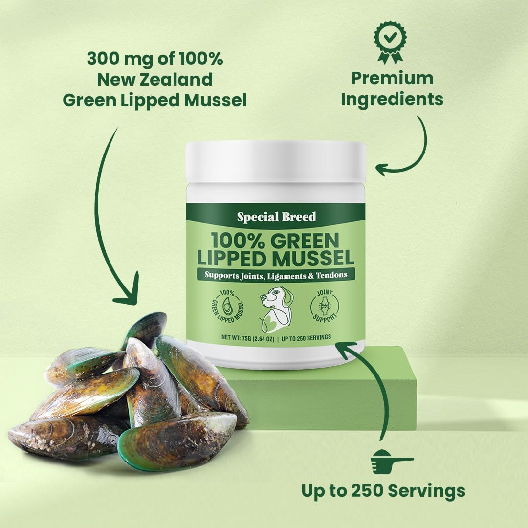 Green Lipped Mussels for Dogs & Cats - Premium Joint Supplement Powder for HIPS, Joints, and Muscles (75 Grams, up to 250 Servings)