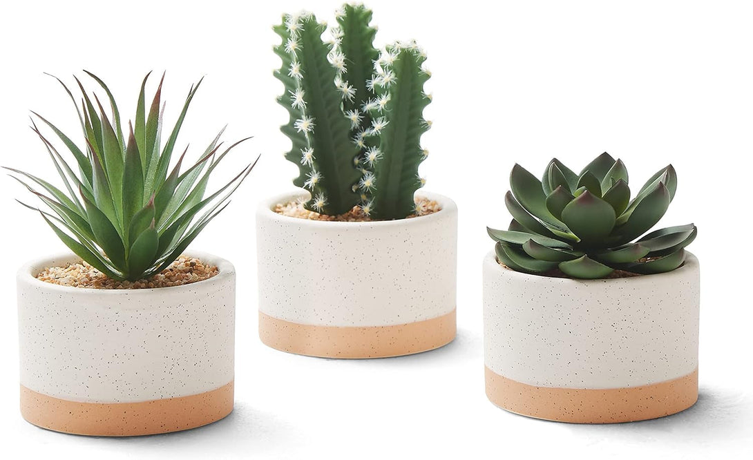 Artificial Succulent Plants in Ceramic Pots, Faux Assorted Succulents Fake Cactus Plants for Home Decor, Bedroom, Office, Desk, Living Room, Set of 3…