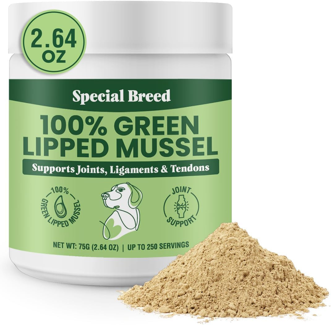 Green Lipped Mussels for Dogs & Cats - Premium Joint Supplement Powder for HIPS, Joints, and Muscles (75 Grams, up to 250 Servings)