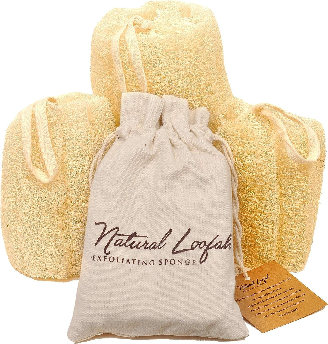 All Natural Loofah Sponge, Pack of 3 Real Egyptian Bath & Shower Exfoliating Loofa Scrubber Sponges for Face, Back & Body, Eco Friendly, No Toxic Chemicals, 6" X 6" by Crafts of Egypt
