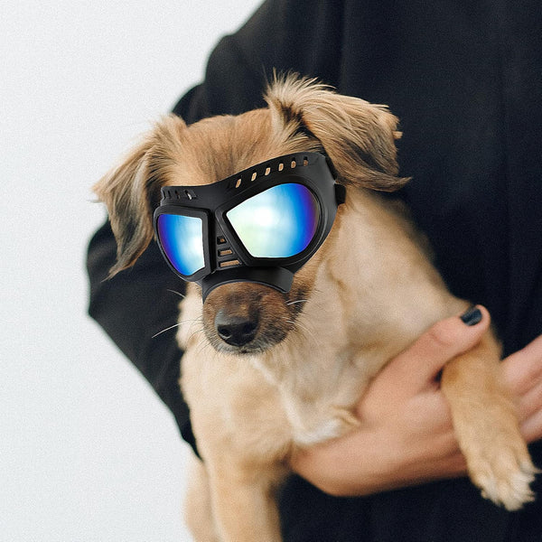 ENJOYING Dog Goggles Small Breed Anti-Uv Puppy Sunglasses for Small-Medium Dogs Anti-Fog Windproof Snowproof Doggy Glasses Eyes Protection, Soft Frame, Blue