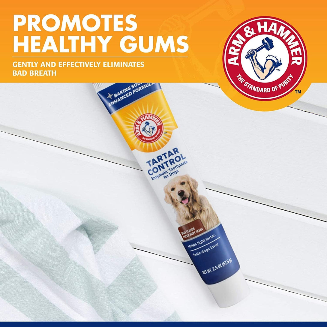 Arm & Hammer for Pets Tartar Control Enzymatic Toothpaste for Dogs Reduces Plaque & Tartar Buildup Safe for Puppies Beef Flavor, 2.5 Ounces Dog Toothpaste (Pack of 1)