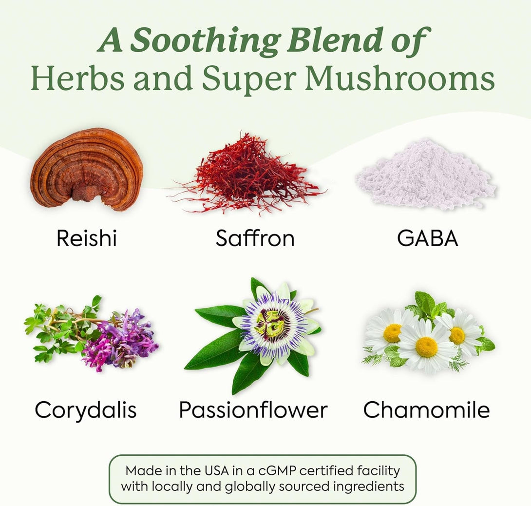Plant People Wondersleep Mushroom Gummies Supplement for Sleep and Relaxation with Reishi Super Mushrooms, Wild Elderberry Flavor, No Sugar (60 Count)
