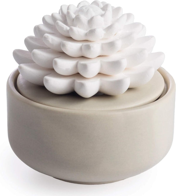 Airomé White Succulent, Porcelain Passive Essential Oil Diffuser (With 15Ml Peppermint Essential Oil) – Non-Electric, Battery-Free, Improves Sleep, and Relieves Stress