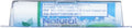 Mentholatum Natural Ice Lip Balm Original SPF 15 1 Each