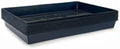 10 Plant Growing Trays (No Drain Holes) - 20" x 10" - Perfect Garden Seed Starter Grow Trays: for Seedlings, Indoor Gardening, Growing