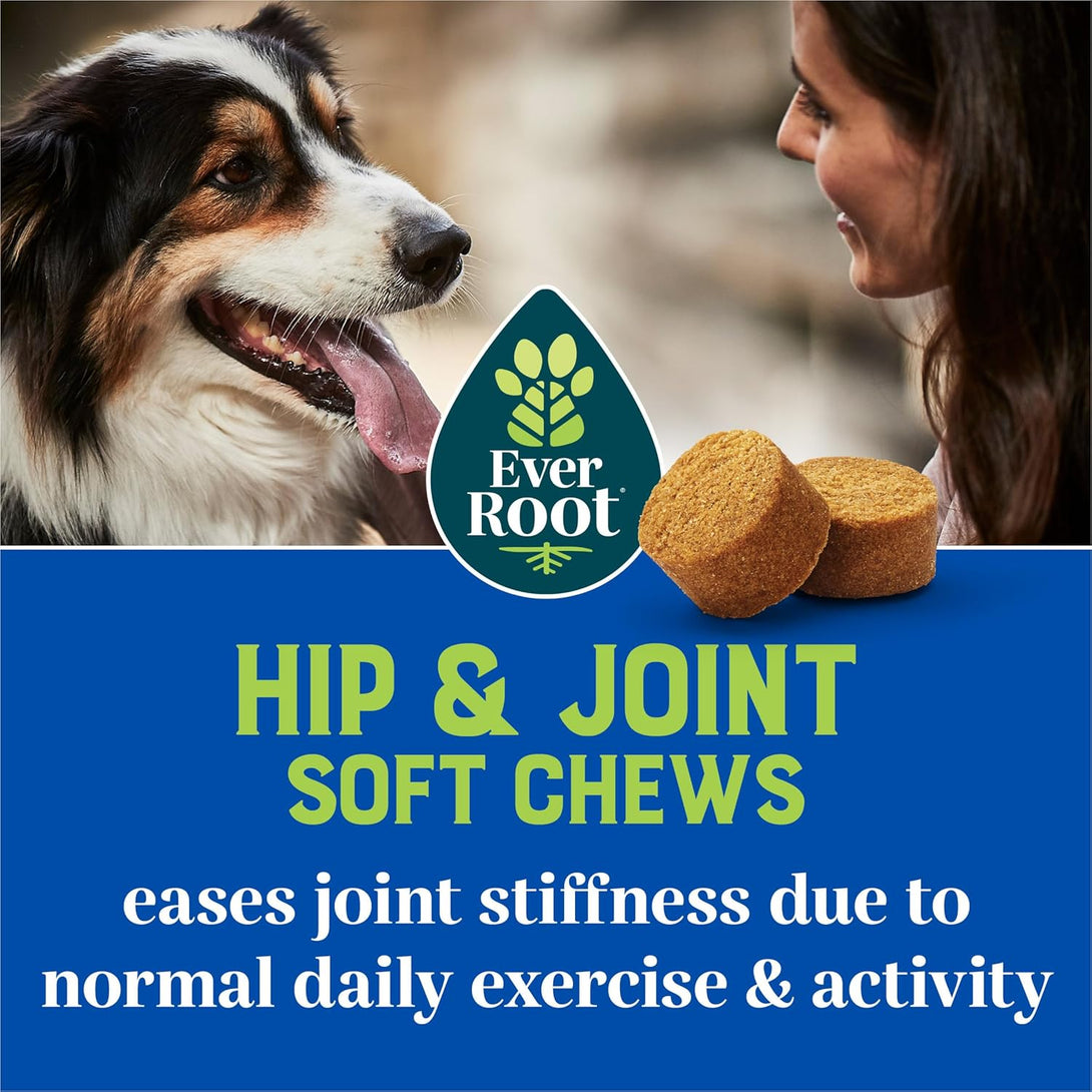 By Purina Hip and Joint Dog Supplements Soft Chews - 10.6 Oz. Canister