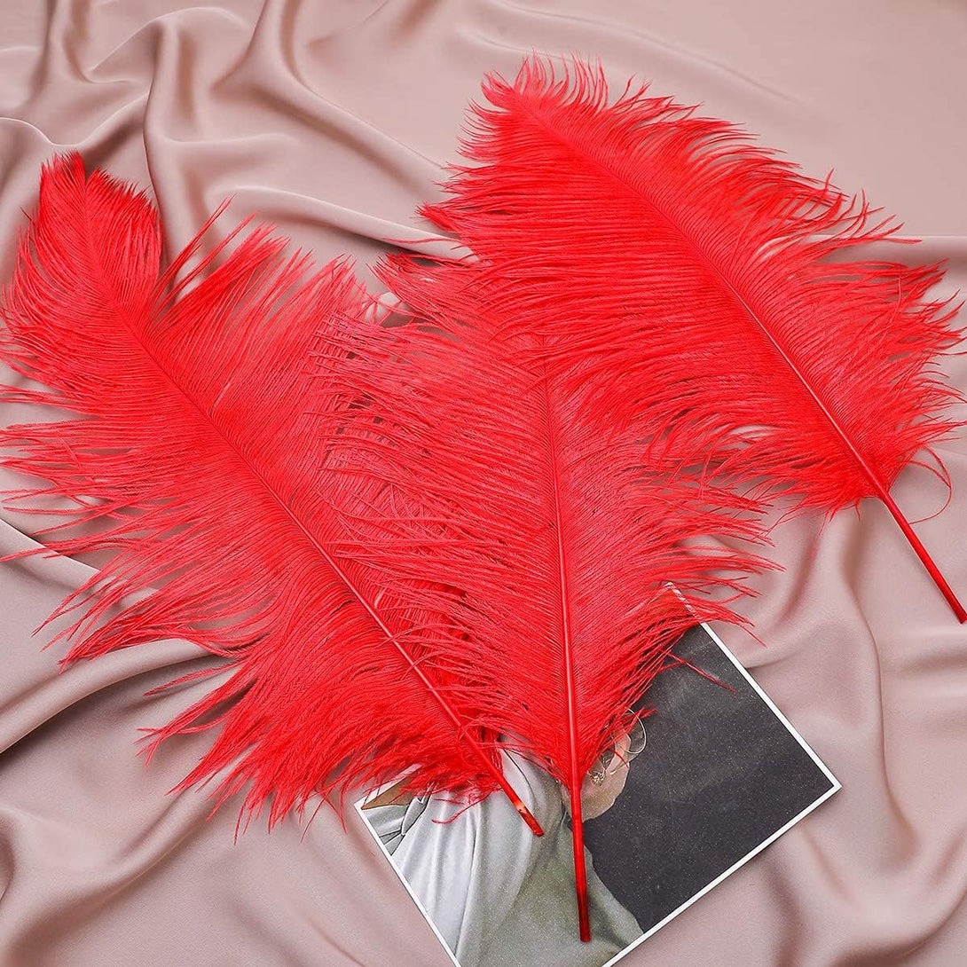 24Pcs Natural Bright Red Ostrich Feathers 10-12Inch (25-30Cm) for Wedding Party Centerpieces，Flower Arrangement and Home Decoration.