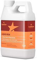 LawnStar Liquid Iron (32 OZ) for Plants - Multi-Purpose, Suitable for Lawn, Flowers, Shrubs, Trees - Treats Iron Deficiency, Root Damage & Color