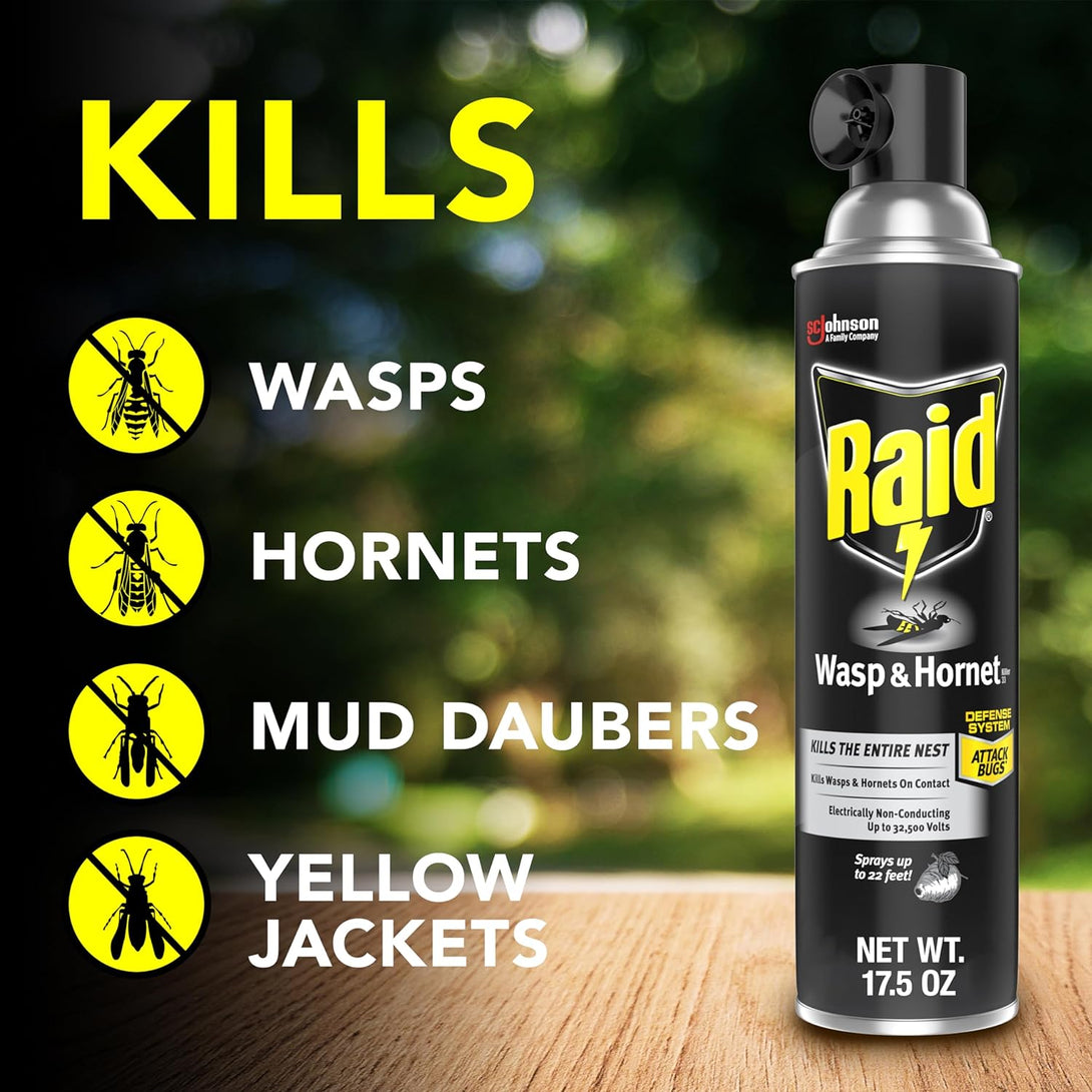 Raid Wasp & Hornet Killer Spray, Bug Killer Kills the Entire Nest, 14 Oz, 2 Count