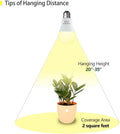 3 Pack Full Spectrum Grow Light Bulbs,A19 Grow Lights for Indoor Plants,Dimmable E26 9W Grow Bulb Replace up to 100W,Plant Lights for Indoor