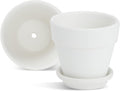 Juvale Mini Terracotta Pots - Pot with Drainage Hole - Versatile Succulent & Herb Planter - Paintable White Planter for Custom Decor - Pack of 12,