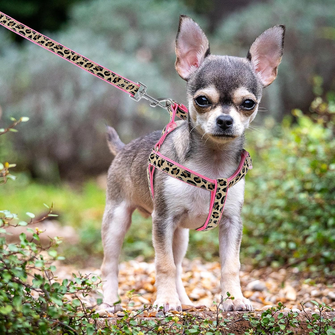 Mile High Life Dog Collar, Harness and Leash | Leopard Design | Perfect Accessory for Walking Your Dog