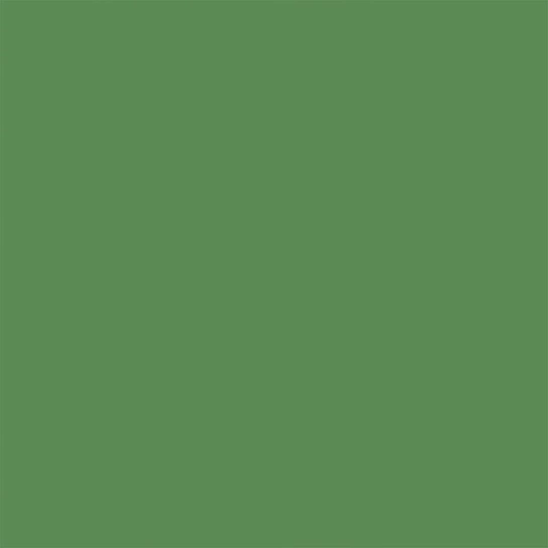 Rust-Oleum 249072 Painter'S Touch 2X Ultra Cover Spray Paint, 12 Oz, Satin Leafy Green