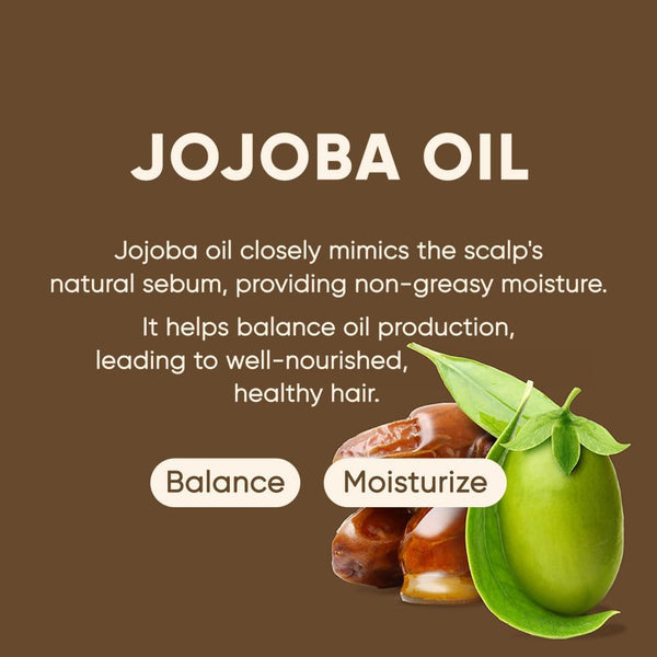 Jojoba Oil Shampoo Bar 2.0 - Hydrating & Moisturizing Natural Hair Soap for Excess Oil & Scalp Nourishment - Solid Shampoo for All Hair Types