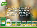 Knorr Professional Caldo de Pollo, Bouillon with Chicken Flavor Granulated Bouillon as a Base, Marinade, Flavor Enhancer, Shelf Stable