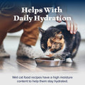 Blue Buffalo Wilderness Paté Variety Pack (Chicken, Salmon, and Duck) Adult Wet Cat Food, High-Protein & Grain-Free Recipes Enhanced with