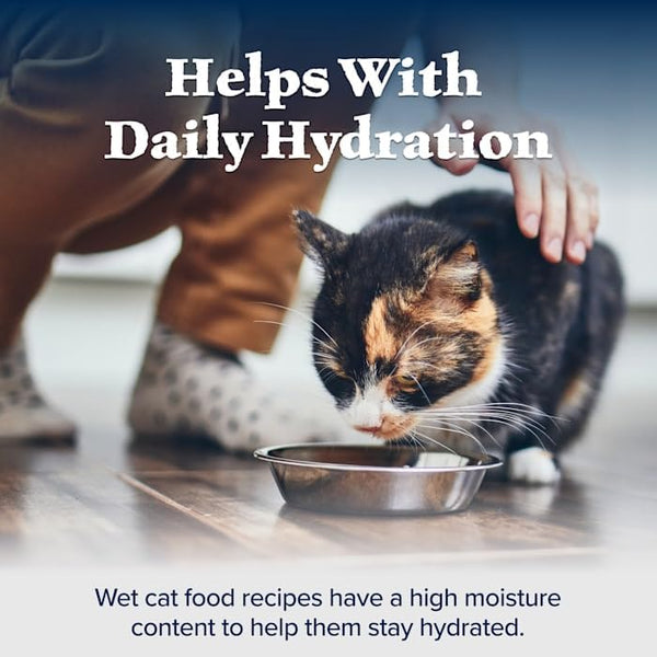 Blue Buffalo Wilderness Paté Variety Pack (Chicken, Salmon, and Duck) Adult Wet Cat Food, High-Protein & Grain-Free Recipes Enhanced with