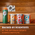 Gatorade Thirst Quencher Powder, Fruit Punch, 76.5 oz Fruit Punch 4.78 Pound (Pack of 1)