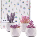 CADNLY Fake Succulent Plant Set - Artificial Desk Plants for Women Desk - Realistic Faux Succulents in Ceramic Pots - Mini Purple Decor for
