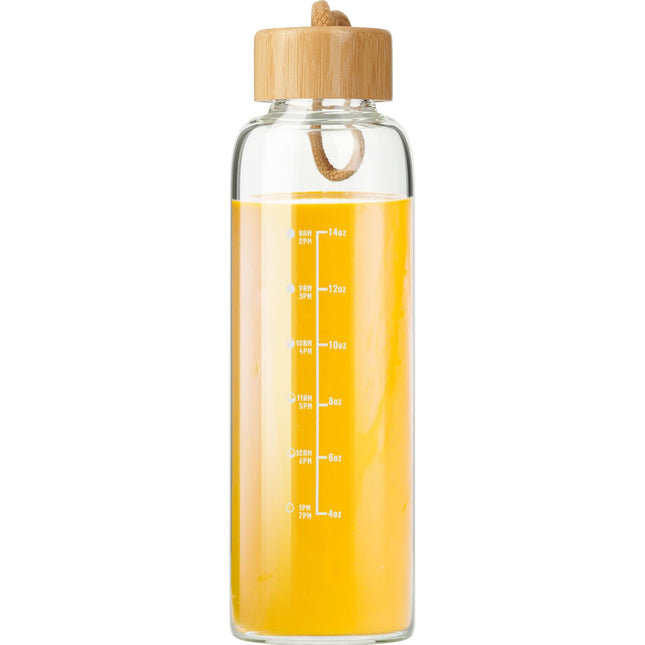 Glass Bottles with Lids and Time Marker, Glass Water Bottles with Carrying Strap