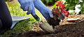 Edward Tools Bend-Proof Garden Trowel - Heavy Duty Polished Stainless Steel - Rust Resistant Oversized Garden Hand Shovel for Quicker Work - Digs