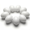 SallyFashion Wooden Fake Eggs, 9 PCS White Easter Eggs 9 White
