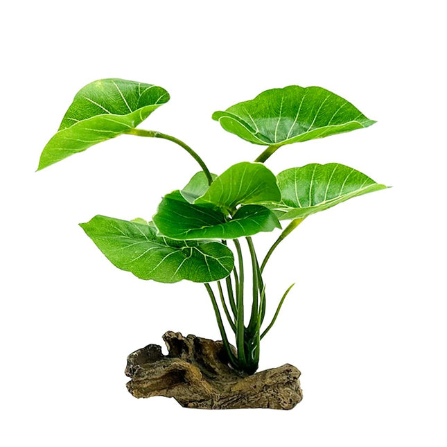 Smoothedo-Pets Fish Tank Decor Aquarium Decorations Ornaments Betta Leaf Pad Ham