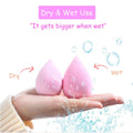 24pcs Makeup Sponge Blender Set - 21 Pcs Latex-Free Vegan Sponges with 3 Pcs Makeup Blender Holder, Beauty Cosmetic Foundation Blending Powder