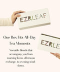 EZR Leaf Herbal & Fruit Tea Sampler Gift Box – 22 Pyramid Tea Bags with 9 Fruit & Floral Blends – Low & Caffeine Free Assortment for Relaxing Tea