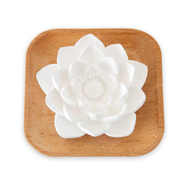 Plant Therapy Passive Lotus Flower Aromatherapy Diffuser - A Chic and Natural Home, Office, and Travel Essential Oil Dif