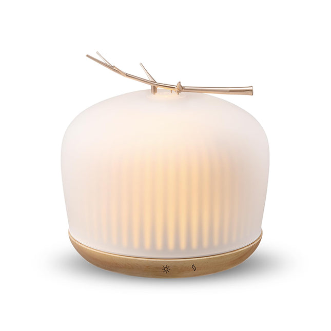 Mimicat Quiet Aromatherapy Diffuser Glass: 230ML Ultrasonic Cool Mist Scent for 