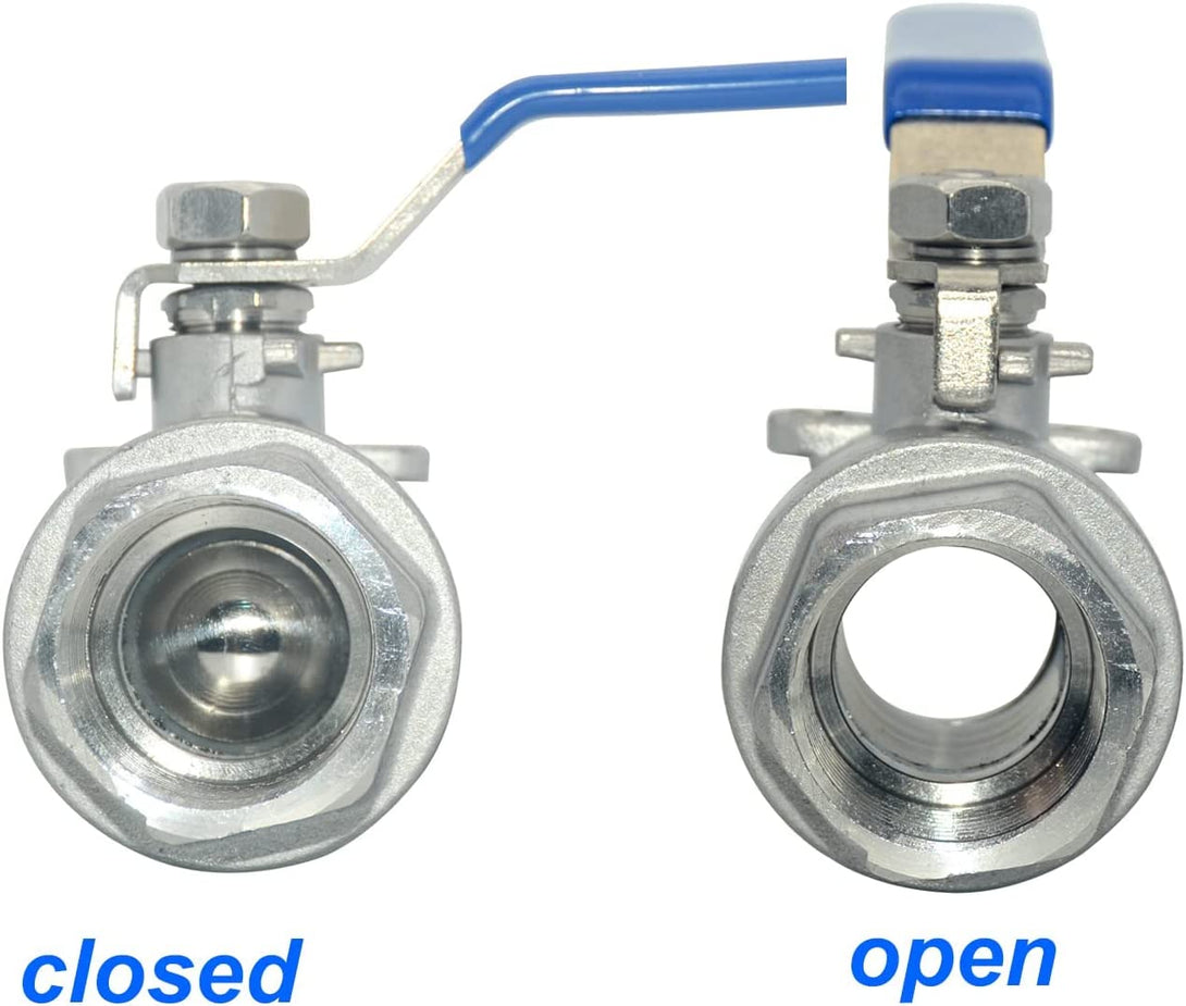 316 Stainless Steel 1/8"~3" Full Port Ball Valve with Blue Vinyl Handle, NPT Female X Female Thread,1000 WOG (2 Inch)