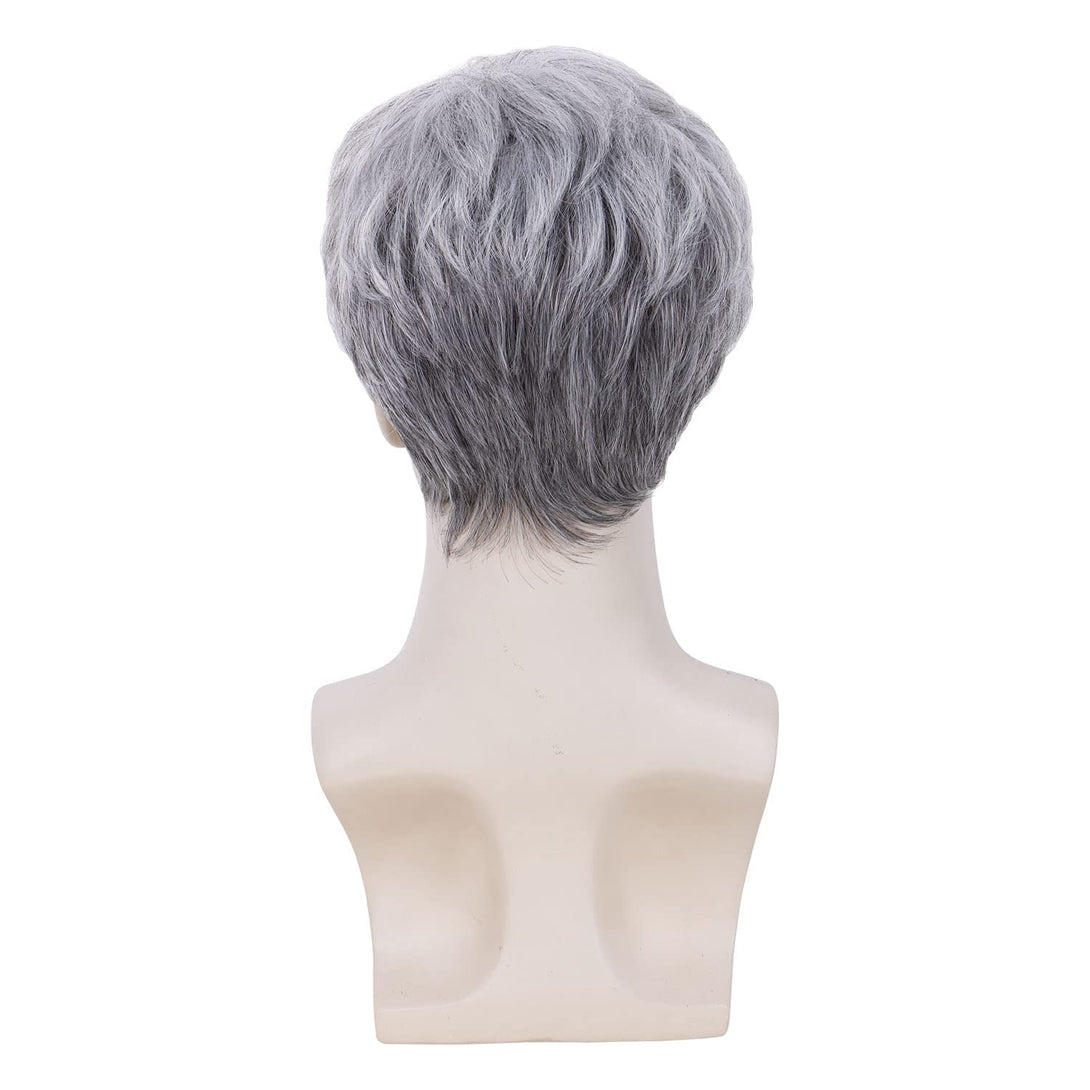 Mens Wig Short Grey Wig Natural Layered Costume Halloween Man Wigs Synthetic Heat Resistant Wigs for Male Guy (Grey)