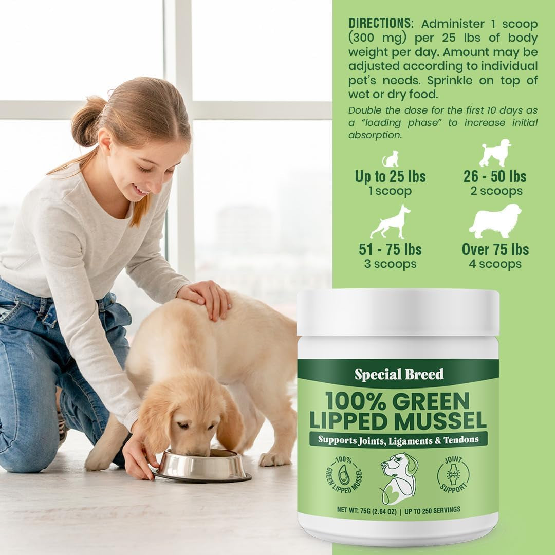 Green Lipped Mussels for Dogs & Cats - Premium Joint Supplement Powder for HIPS, Joints, and Muscles (75 Grams, up to 250 Servings)