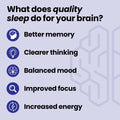 Lifeseasons Neuroq Sleep Now - Natural Sleep Support Supplement - Maintain Healthy Sleep Cycles & Brain Function - Melatonin & L-Theanine -