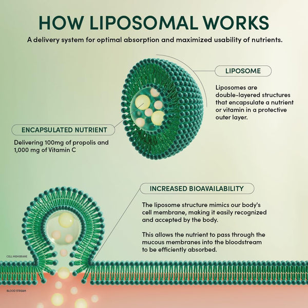 Propolis Liposomal Vitamin C by Beekeeper'S Naturals, 1000Mg Vitamin C, Propolis & Organic Honey, Supercharged Immune Support & Increased