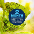 BioAdvanced Fruit, Citrus & Vegetable Insect Control Concentrate - Pest Control for Fruit and Vegetable Gardens - Up to 2 Months Infestation