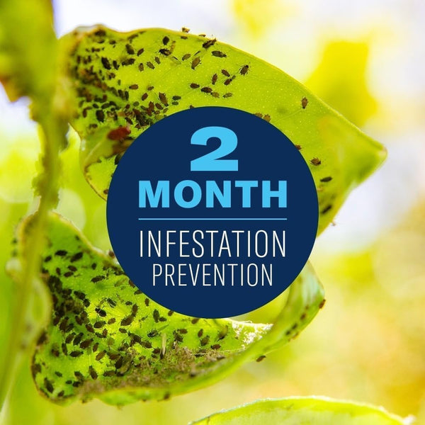 BioAdvanced Fruit, Citrus & Vegetable Insect Control Concentrate - Pest Control for Fruit and Vegetable Gardens - Up to 2 Months Infestation